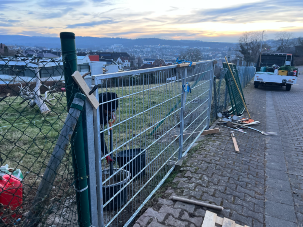 Zauntor Doppelflüglig